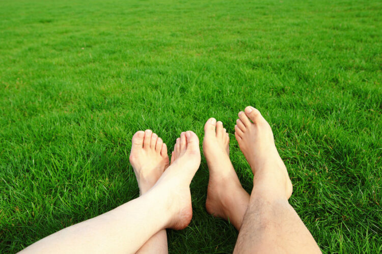 green lawn with couple lounging