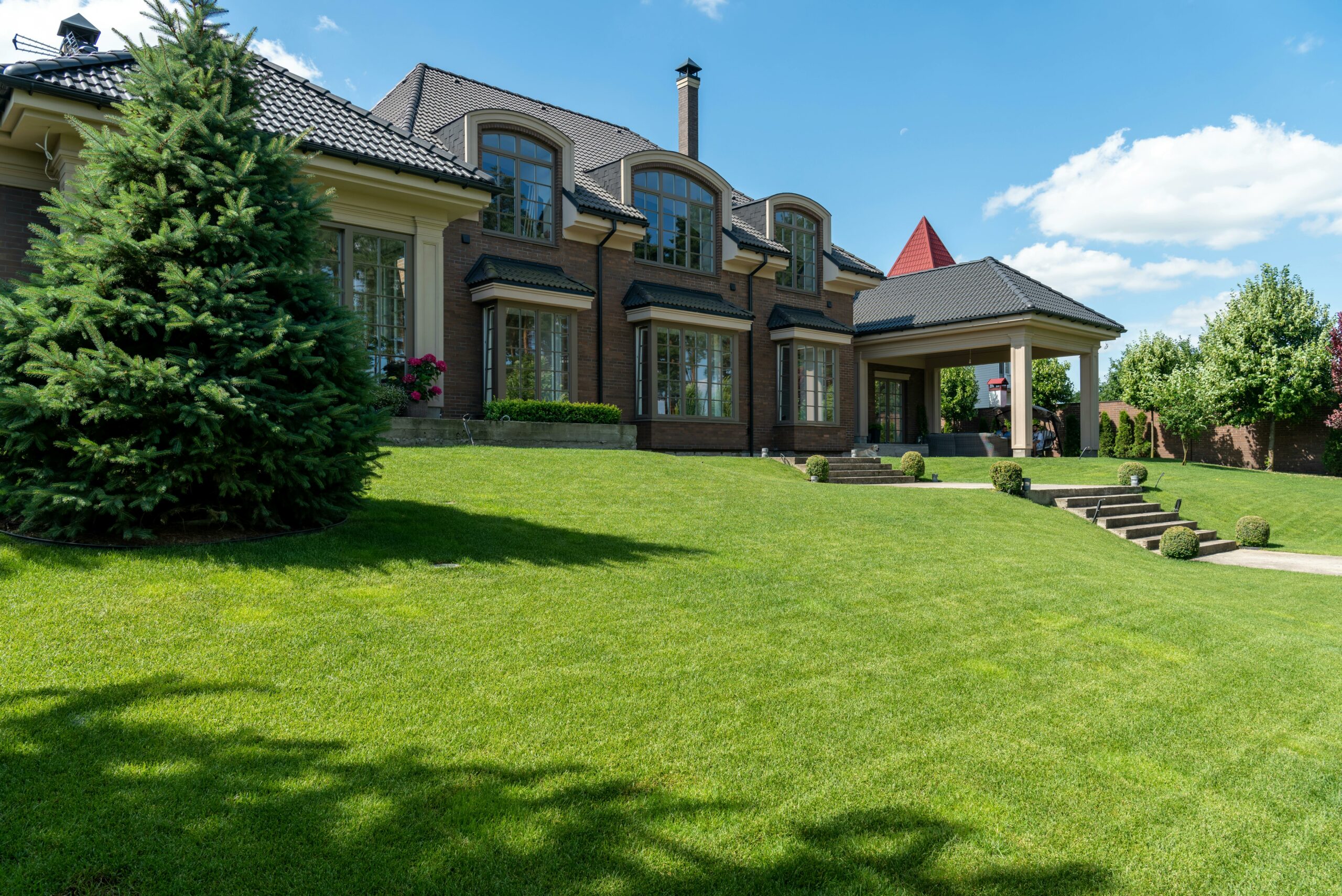 how to make a green lawn