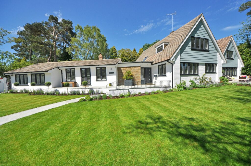 how to make a green lawn